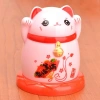Hộp đựng tăm xỉa răng Wangcai hình mèo thần tài Nhật Bản - Nhiều màu, chất lượng cao, giá ưu đãi 60.830 VND 9