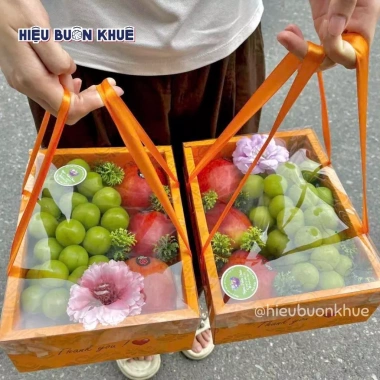 Hộp Đựng Trái Cây Quai Xách - Quà Tặng Lễ Tết Màu Cam Hồng, Giảm Giá Đến 22%
