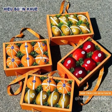 Hộp Đựng Trái Cây Quai Xách - Quà Tặng Lễ Tết Màu Cam Hồng, Giảm Giá Đến 22%
