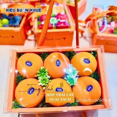 Hộp Đựng Trái Cây Quai Xách - Quà Tặng Lễ Tết Màu Cam Hồng, Giảm Giá Đến 22% 5 Hộp Đựng Trái Cây Quai Xách - Quà Tặng Lễ Tết Màu Cam Hồng, Giảm Giá Đến 22% 5
