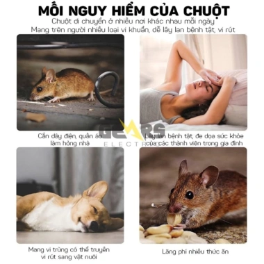 Hộp Gel Xua Đuổi Chuột Ô Tô Mùi Bạc Hà An Toàn, Hiệu Quả 6 Tháng, Giá 134.000đ