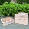 Hộp Giấy Mica Vuông 27x27x8,5cm Đựng Hoa Quả Trái Cây, Kèm Túi Quai Xách 4K PRINTING 9