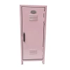 Hộp lưu trữ trang điểm mini sắt có khóa – Tủ hồ sơ rộng, Piggy Bank cho phòng tắm, văn phòng, 313.280₫ 12