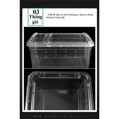 Hộp nuôi bò sát, côn trùng, thú cưng - An toàn, thông thoáng, giá 19.999 VND