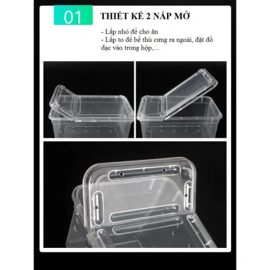 Hộp nuôi bò sát, côn trùng, thú cưng - An toàn, thông thoáng, giá 19.999 VND