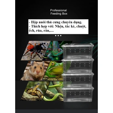 Hộp nuôi bò sát, côn trùng, thú cưng - An toàn, thông thoáng, giá 19.999 VND