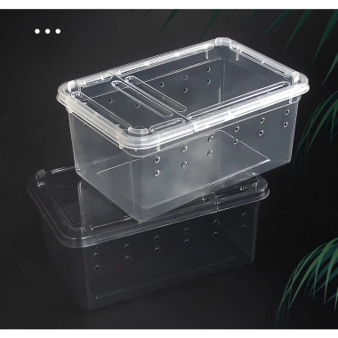 Hộp nuôi bò sát, côn trùng, thú cưng - An toàn, thông thoáng, giá 19.999 VND