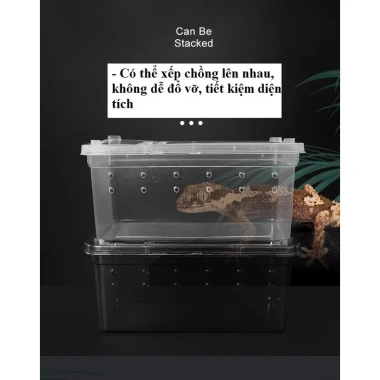 Hộp nuôi bò sát, côn trùng, thú cưng - An toàn, thông thoáng, giá 19.999 VND 9 Hộp nuôi bò sát, côn trùng, thú cưng - An toàn, thông thoáng, giá 19.999 VND 9