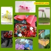 Hộp quà 16x35x21cm - Phù hợp Tết, Noel, Sinh nhật, 8/3, 20/10 - Giá ưu đãi 37.050₫