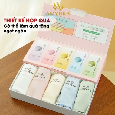 Hộp quà 5 quần lót boxer nữ su lụa pastel, cạp cao cotton, AMYBRA L5.422 3 Hộp quà 5 quần lót boxer nữ su lụa pastel, cạp cao cotton, AMYBRA L5.422 3