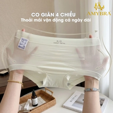 Hộp quà 5 quần lót boxer nữ su lụa pastel, cạp cao cotton, AMYBRA L5.422