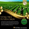 Hộp Quà Biếu Tết Chè Quý Ô Long và Tân Cương Thượng Hạng 2 Hũ Trà Ngon Bộ Gỗ Quà Tặng Sếp Doanh Nghiệp 1.664.000₫ 9