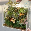 Hộp quà tặng mica vali quai in logo theo yêu cầu - Giỏ hoa, giá ưu đãi 160k 2