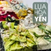 Hộp quà Tết 2.026 Yến Sào KNEST 8-12g tươi, khăn lụa - Giá ưu đãi 299.000₫ 2