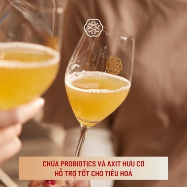 Hộp quà Tết Junbucha 6 chai - Đồ uống có ga trà xanh & mật ong nguyên chất, 450k