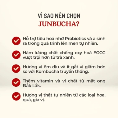Hộp quà Tết Junbucha 6 chai - Đồ uống có ga trà xanh & mật ong nguyên chất, 450k