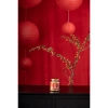 Hộp quà Tết Nhụy hoa nghệ tây Saffron Jahan 0.5g - Giá ưu đãi 390.000đ 6