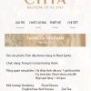 Hộp Quà Tinh Dầu Thơm CITTA PLANT SPIRIT - Trang Trí Bàn Làm Việc, 273.000 VND 4