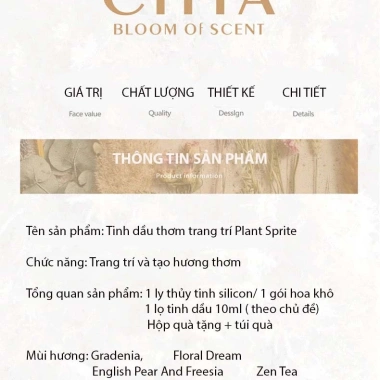 Hộp Quà Tinh Dầu Thơm CITTA PLANT SPIRIT - Trang Trí Bàn Làm Việc, 273.000 VND