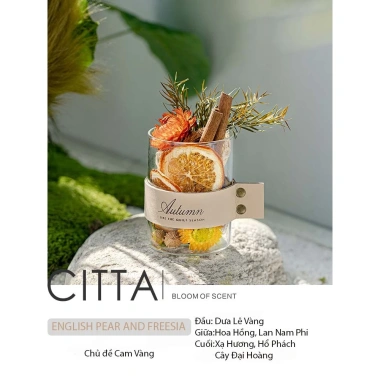 Hộp Quà Tinh Dầu Thơm CITTA PLANT SPIRIT - Trang Trí Bàn Làm Việc, 273.000 VND
