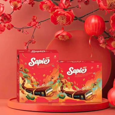 Hộp Tết Bánh Mềm Phủ Socola Sapie Gold 280/400g – Giá ưu đãi 63.500, có túi xách