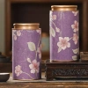 Hộp thiếc trà đen xanh hoa văn rỗng, kín, di động cho gia đình - Lọ trà mini mới 7