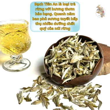 Hộp Trà Bạch Tiên An Chè Rừng Cổ Thụ - HOÀNG ĐAN TEA Trà Đạo, Quà Tặng, Giá 1.067.500đ Giảm còn 854.000đ 3