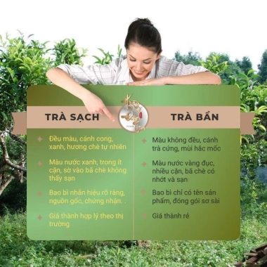 Hộp Trà Bạch Tiên An Chè Rừng Cổ Thụ - HOÀNG ĐAN TEA Trà Đạo, Quà Tặng, Giá 1.067.500đ Giảm còn 854.000đ 5