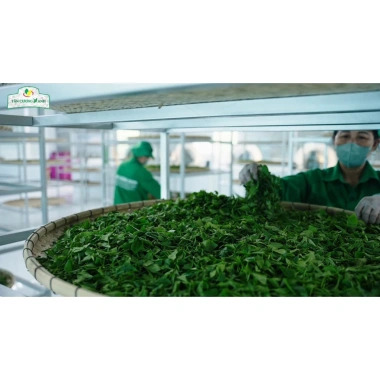 Hộp Trà Đại Việt Tân Cương Xanh 200g – Quà Tặng Sang Trọng kèm Túi Xách, 395.678 VND 2