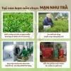 Hộp Trà Móc Câu 400g Trà Xanh Thái Nguyên - Quà Biếu Cao Cấp Tặng Sếp, Đối Tác, Tết, Doanh Nghiệp Giá 190k 4