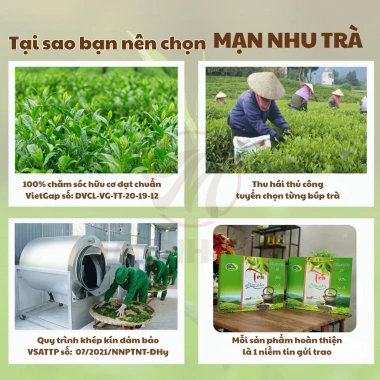 Hộp Trà Nõn Tôm Đặc Biệt 1kg Xanh Lá – Quà Biếu Tết, Tặng Sếp Đối Tác Thái Nguyên