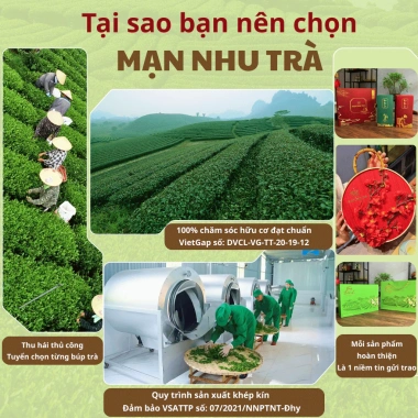 Hộp Trà Nõn Tôm Đặc Biệt 200g Xanh Vàng - Quà Tết tặng Sếp, Đối Tác Thái Nguyên
