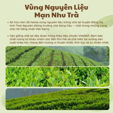 Hộp Trà Nõn Tôm Đặc Biệt 200g Xanh Vàng - Quà Tết tặng Sếp, Đối Tác Thái Nguyên
