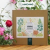 Hộp Trà Thảo Mộc Herbal Symphony Lanchans – 9 Loại Túi Lọc Tiện Dụng, Giá 395.000 VND
