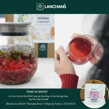 Hộp Trà Thảo Mộc Herbal Symphony Lanchans – 9 Loại Túi Lọc Tiện Dụng, Giá 395.000 VND 3 Hộp Trà Thảo Mộc Herbal Symphony Lanchans – 9 Loại Túi Lọc Tiện Dụng, Giá 395.000 VND 3