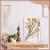 Hộp trưng bày acrylic trong suốt đa chức năng - Giá đỡ ảnh, lưu trữ, giảm còn 210k