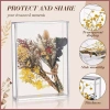 Hộp trưng bày acrylic trong suốt đa chức năng - Giá đỡ ảnh, lưu trữ, giảm còn 210k 8