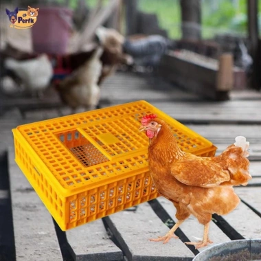 Hộp vận chuyển gia cầm Perfk - Thùng đựng gà Rutin Hideaway bền nhẹ, giá ưu đãi 665.280₫ 3