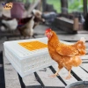 Hộp vận chuyển gia cầm Perfk - Thùng đựng gà Rutin Hideaway bền nhẹ, giá ưu đãi 665.280₫ 7