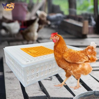 Hộp vận chuyển gia cầm Perfk - Thùng đựng gà Rutin Hideaway bền nhẹ, giá ưu đãi 665.280₫ 7
