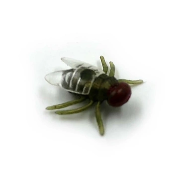 Hrtyvhin 100 chiếc ruồi giả nhựa - Đồ chơi prank Halloween, mô phỏng côn trùng
