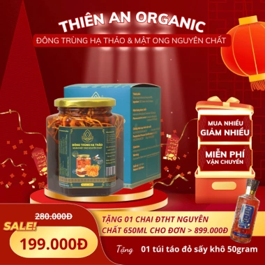 Hũ 280ml Đông trùng hạ thảo ngâm mật ong nguyên chất táo đỏ – Giá ưu đãi 80.000đ