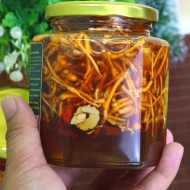 Hũ 280ml Đông trùng hạ thảo ngâm mật ong nguyên chất táo đỏ – Giá ưu đãi 80.000đ