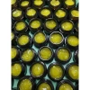 Hũ 30gr Cao Sẹo Xịn Xò Giá Siêu Rẻ 69.000₫ Dành Cho Spa Thẩm Mỹ 7