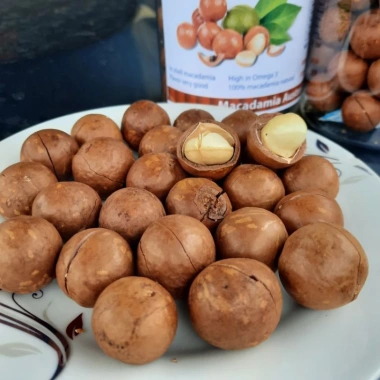 Hũ 500g Hạt Macca Size Lớn Nứt Vỏ – Giá 300.000₫, Dinh Dưỡng, Thơm Ngon 2 Hũ 500g Hạt Macca Size Lớn Nứt Vỏ – Giá 300.000₫, Dinh Dưỡng, Thơm Ngon 2