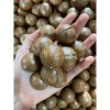 Hũ 500g Hạt Macca Size Lớn Nứt Vỏ – Giá 300.000₫, Dinh Dưỡng, Thơm Ngon 8
