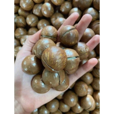 Hũ 500g Hạt Macca Size Lớn Nứt Vỏ – Giá 300.000₫, Dinh Dưỡng, Thơm Ngon