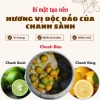 Hũ 500ml Chanh Sành & Đào Ủ Muối Mật Ong – Tiêu Đờm, Giảm Ho, Bổ Phế 65.000đ 4