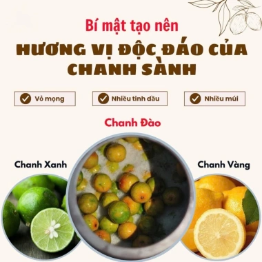 Hũ 500ml Chanh Sành & Đào Ủ Muối Mật Ong – Tiêu Đờm, Giảm Ho, Bổ Phế 65.000đ 4 Hũ 500ml Chanh Sành & Đào Ủ Muối Mật Ong – Tiêu Đờm, Giảm Ho, Bổ Phế 65.000đ 4