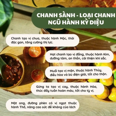Hũ 500ml Chanh Sành & Đào Ủ Muối Mật Ong – Tiêu Đờm, Giảm Ho, Bổ Phế 65.000đ